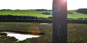 Why You Need to Visit Kilkenny - The Jewel of Ireland's Ancient East