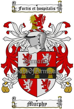The History and Heritage of Irish Family Names