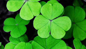 8 Tips for Travelling to Ireland for the First Time
