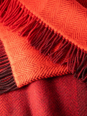 1441-cashmere-throw-new-square_a0edb75e-d76f-46cc-8b95-bbb085bcaaf4.jpg