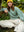 5yw7ccwi_1_9bef7796-2ad6-4496-a755-23a2b84ae379.jpg