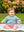 dc001_aqua_4_5_a8fbc7eb-3e9b-4f27-a7f5-a730fcf5df89.jpg