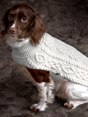 dog-coat_lg_b82617cd-0248-4f62-b066-2dd538766661.jpg