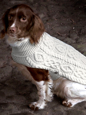 dog-coat_lg_b82617cd-0248-4f62-b066-2dd538766661.jpg