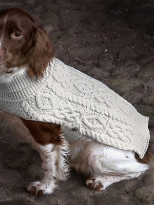 dog_coat_1_b9189772-5b84-4603-823f-6aeb0cc87484.jpg