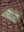mucros_tag_detail_4a818fa4-45dd-4f55-b154-e8204ae9d6ee.jpg