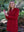 Hooded Coat with Celtic Knot Zipper Cherry
