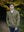 sale_cowl_neck_autumn_2_22b1f742-1e7b-4c75-8eda-89f407a5327f.jpg