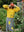 xxx_1_a07b01cf-2711-4e52-afea-8d4166eb4324.jpg