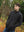 z4624_charcoal_aran_sweater_3_4a1d9c01-b470-4f21-8a95-9ff2255fb173.jpg