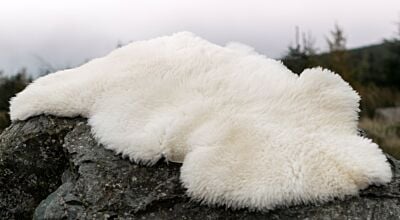 Sheepskin Rug Ivory